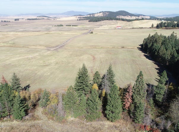 264 Cobblestone Ln, Plummer, ID 83851