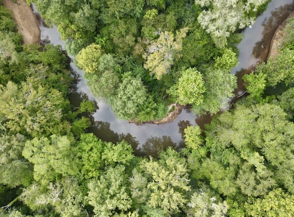 Walker Springs Road, Tract 4, Jackson, AL 36545