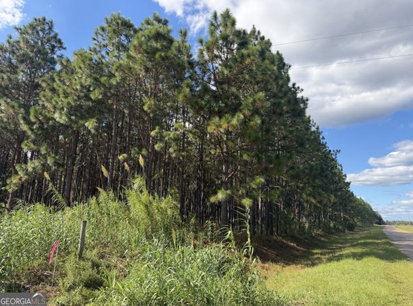 001 Sandy Bottom Road, Blakely, GA 39823