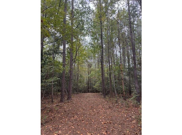 3829 Standing Pine Lane, Zebulon, NC 27597