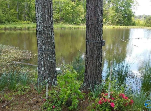 193AC County Road 1069, Vinemont, AL 35179