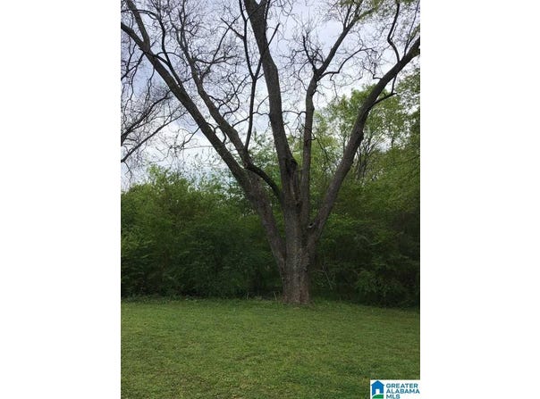 421 14TH PLACE lot: 0, PLEASANT GROVE, AL 35127