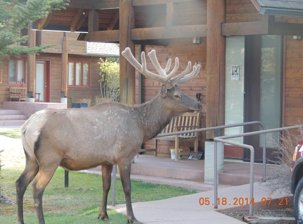 1565 Highway 66, Estes Park, CO 80517