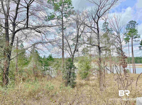 Lake Juniper Road, Brewton, AL 36426