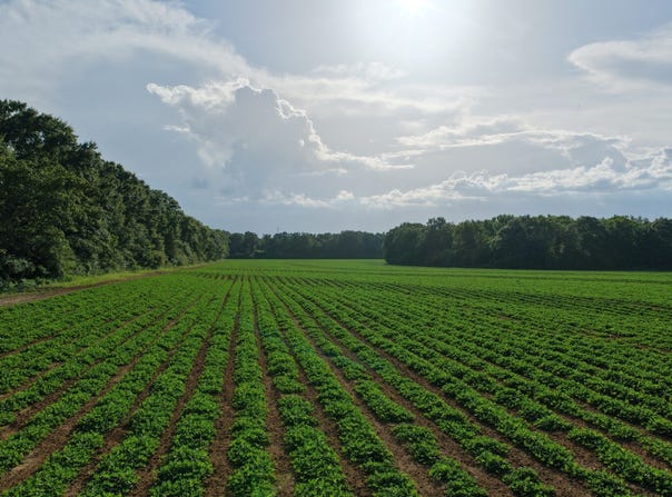 CR 49, Malvern, AL 36349