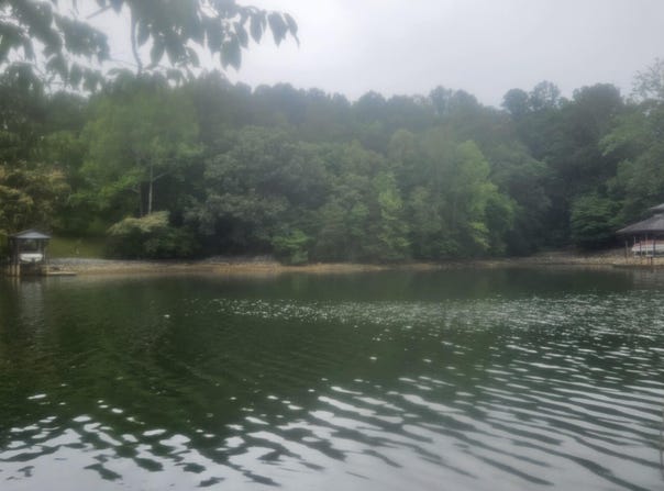 Longview Estates Dr lot: 4, Goodview, VA 24095