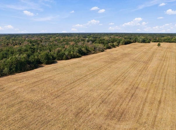 YBD Farm Road 273, Ivanhoe, TX 75447