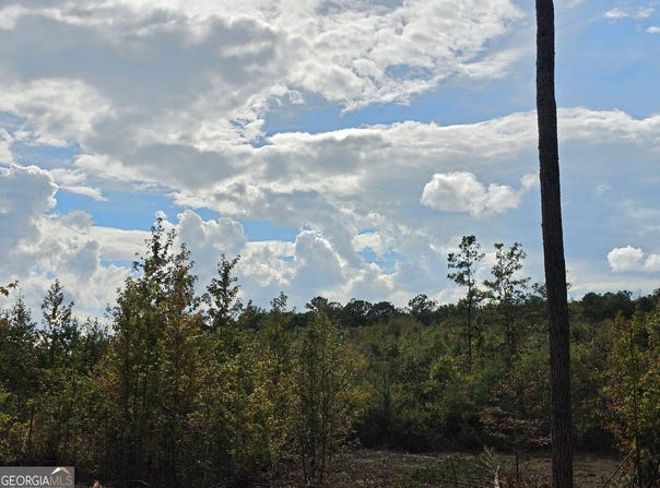 Victory Road, Franklin, GA 30217
