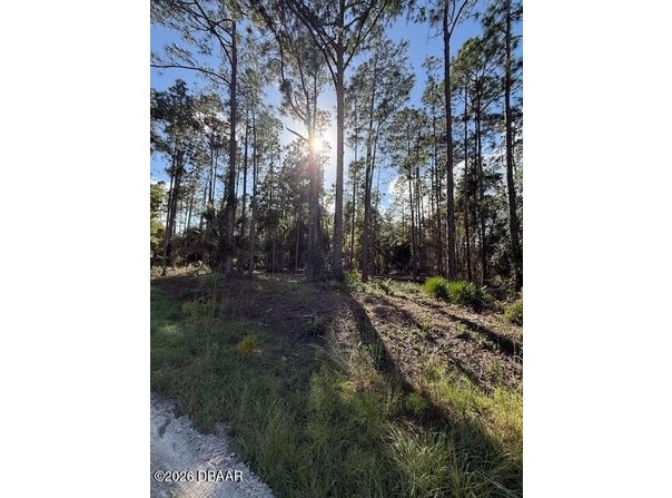 215 Hideaway Lane, Georgetown, FL 32139