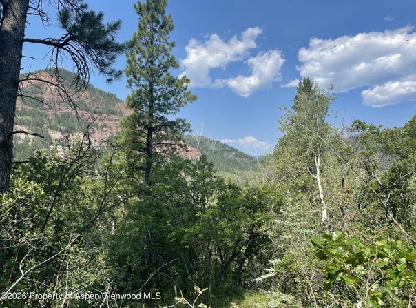 315 Fire House Road, Redstone, CO 81623