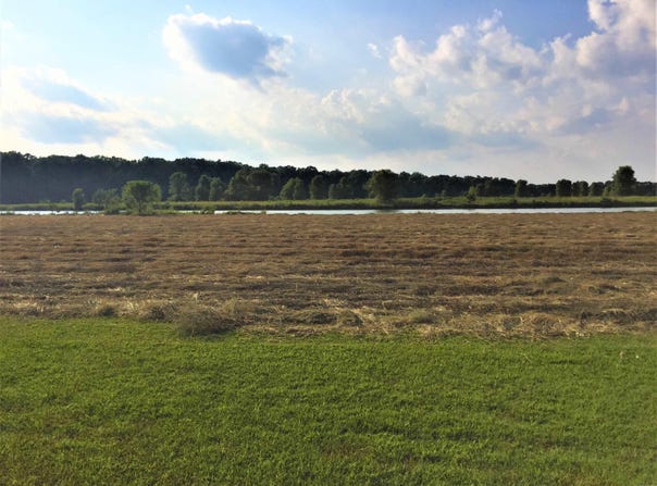 Mound View Drive lot: 329, England, AR 72046
