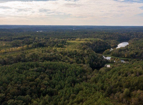 Camp Oliver Rd, Adger, AL 35006