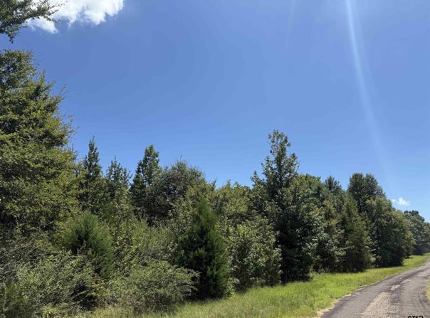 CR 1662, Mt Pleasant, TX 75455