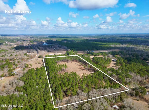 35 Thompson Lane, Carriere, MS 39426