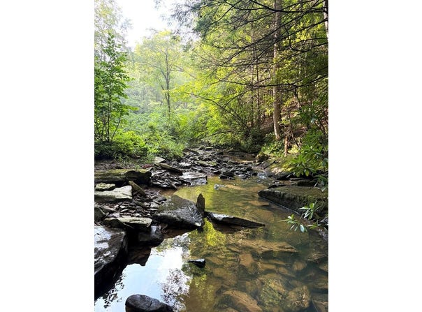 Tract 2 Sheep Ranch Road, Robbins, TN 37852