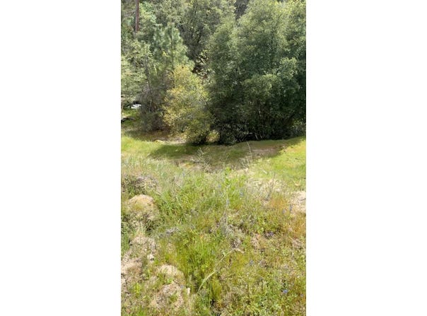 43929 Badger Hollow Trl, Oakhurst, CA 93644