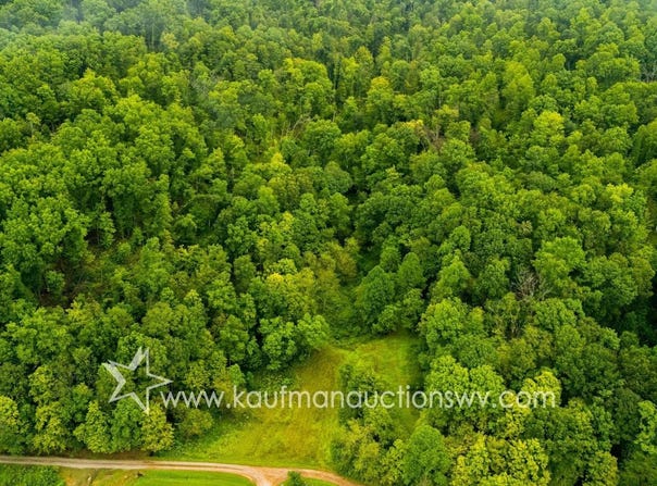 679 Burnems Run Rd, Sandyville, WV 25275