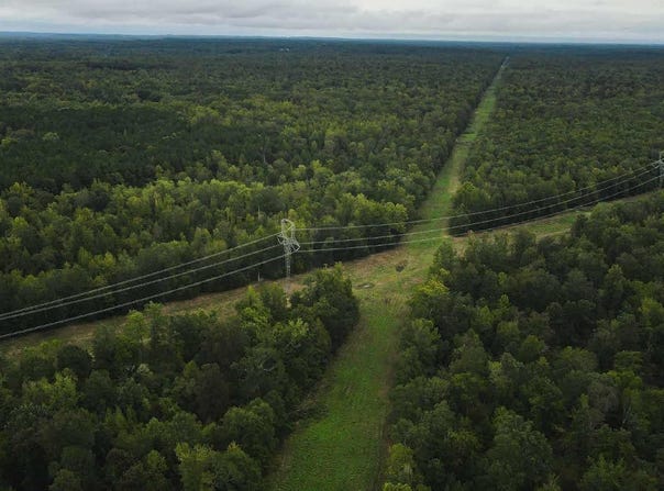 Forrest Rd Fields, Malvern, AR 72104
