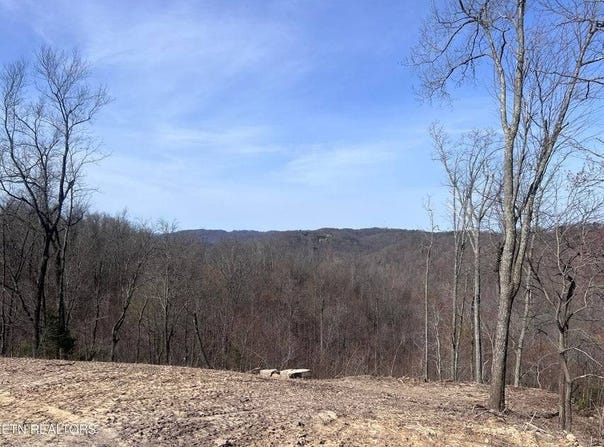 4575 Upper Crab Rd, Jamestown, TN 38556