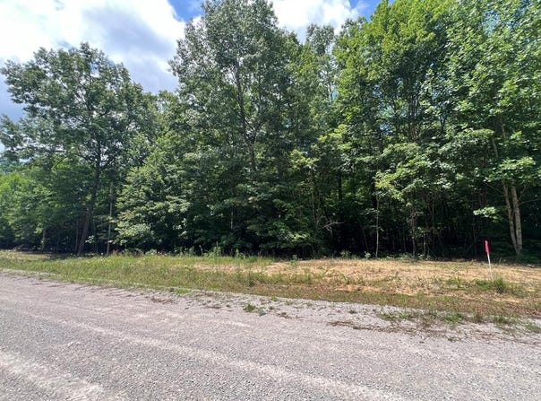 Hargis Rd lot: 216, Grimsley, TN 38565
