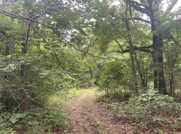 Slyvan Lane, Clinton, AR 72031