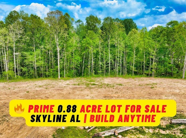 .88 Acre County Road 825, Scottsboro, AL 35768