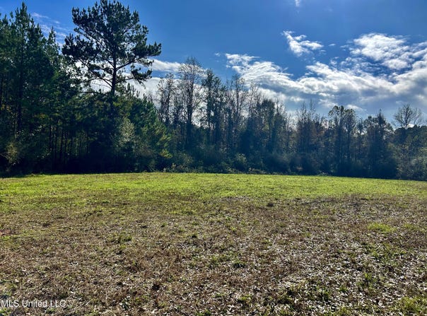 Watts Ln NW, Brookhaven, MS 39601