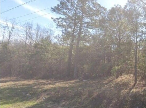Moses Dingle Road, Manning, SC 29102