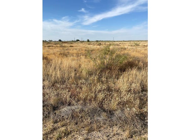 0 #1 SE 2150, Andrews, TX 79714