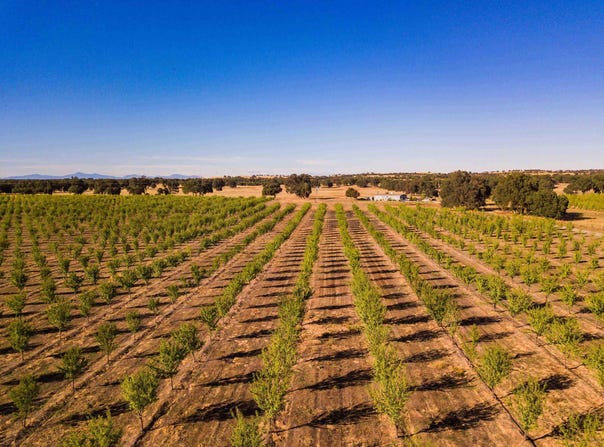 10370 Briggs Road, Red Bluff, CA 96080