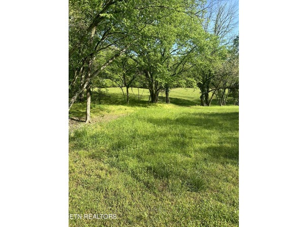 277 County Road 408, Englewood, TN 37329