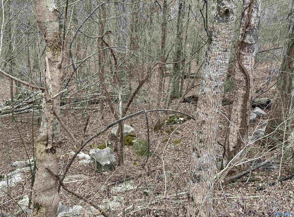4621 Legacy Preserve Way SE, Brownsboro, AL 35741