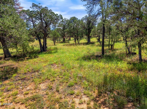 2864 Buck Circle, Overgaard, AZ 85933