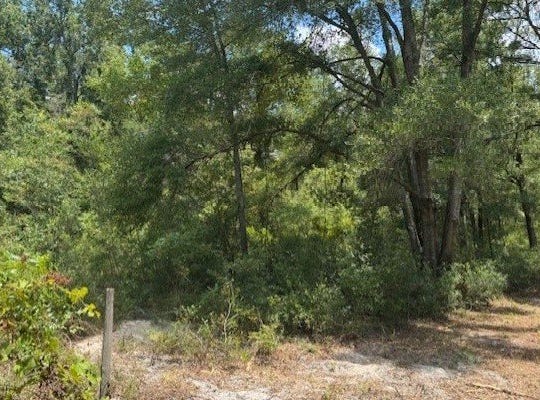 OBrien, FL 32071
