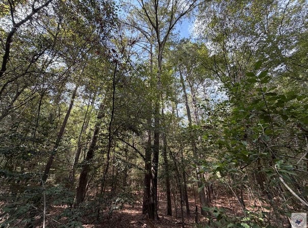 FM 130, Linden, TX 75563