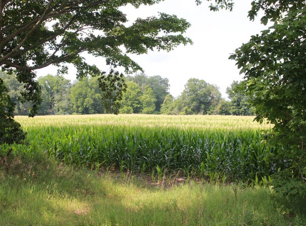 P Drive S (parcel 4), Burlington, MI 49029