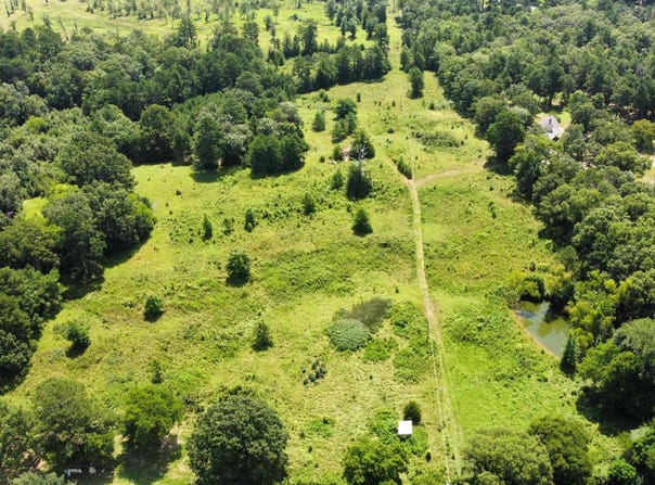334 Highway 347, Bismarck, AR 71929