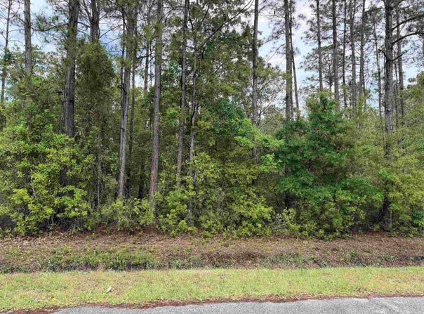 4120-2 Melanie St, Hastings, FL 32145