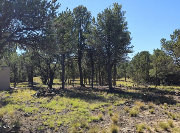 1270 E Alimos Way, Williams, AZ 86046