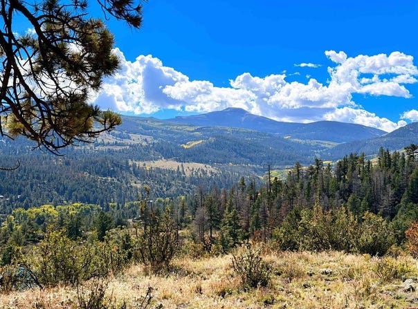 467 Aspen Circle, South Fork, CO 81154