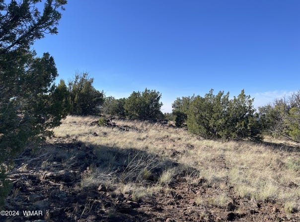 12 County Road, Concho, AZ 85924