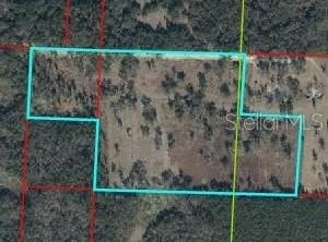 NE 172ND Court, WILLISTON, FL 32696
