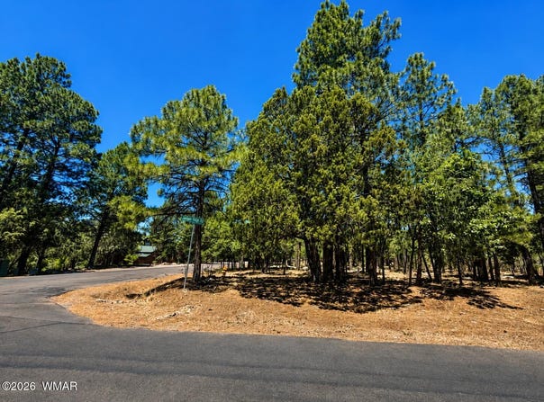711 Pine Creek Drive, Lakeside, AZ 85929