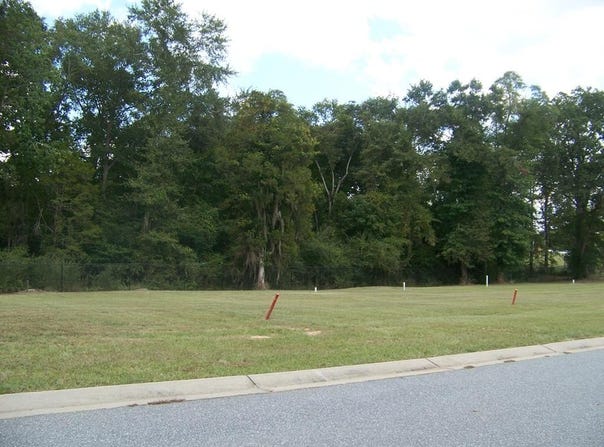 Point Drive, Georgetown, GA 39854