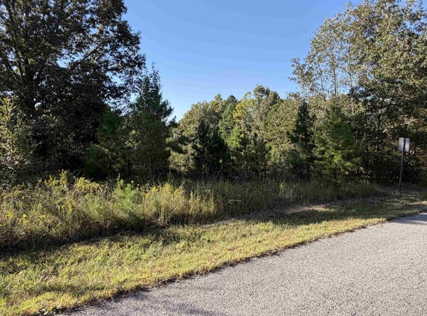 Plantation Circle lot: 31, Melbourne, AR 72556