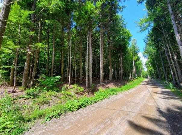 Map18Lot27 Sandy Beach Road, Danforth, ME 04424