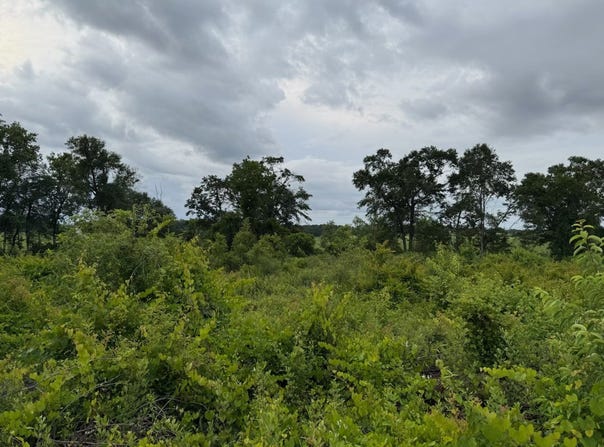 Highland Rd, Slocomb, AL 36375