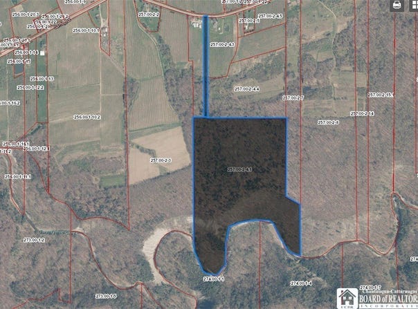 10571 W Side Hill Road, Ripley, NY 14775