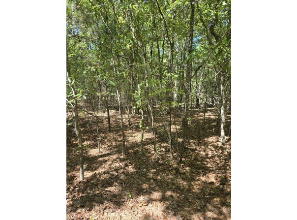 Partridge Town Rd, Lincolnton, GA 30817