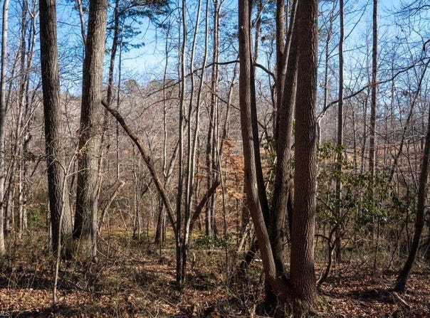 Morosko Lane lot: 5, Pilot Mountain, NC 27041